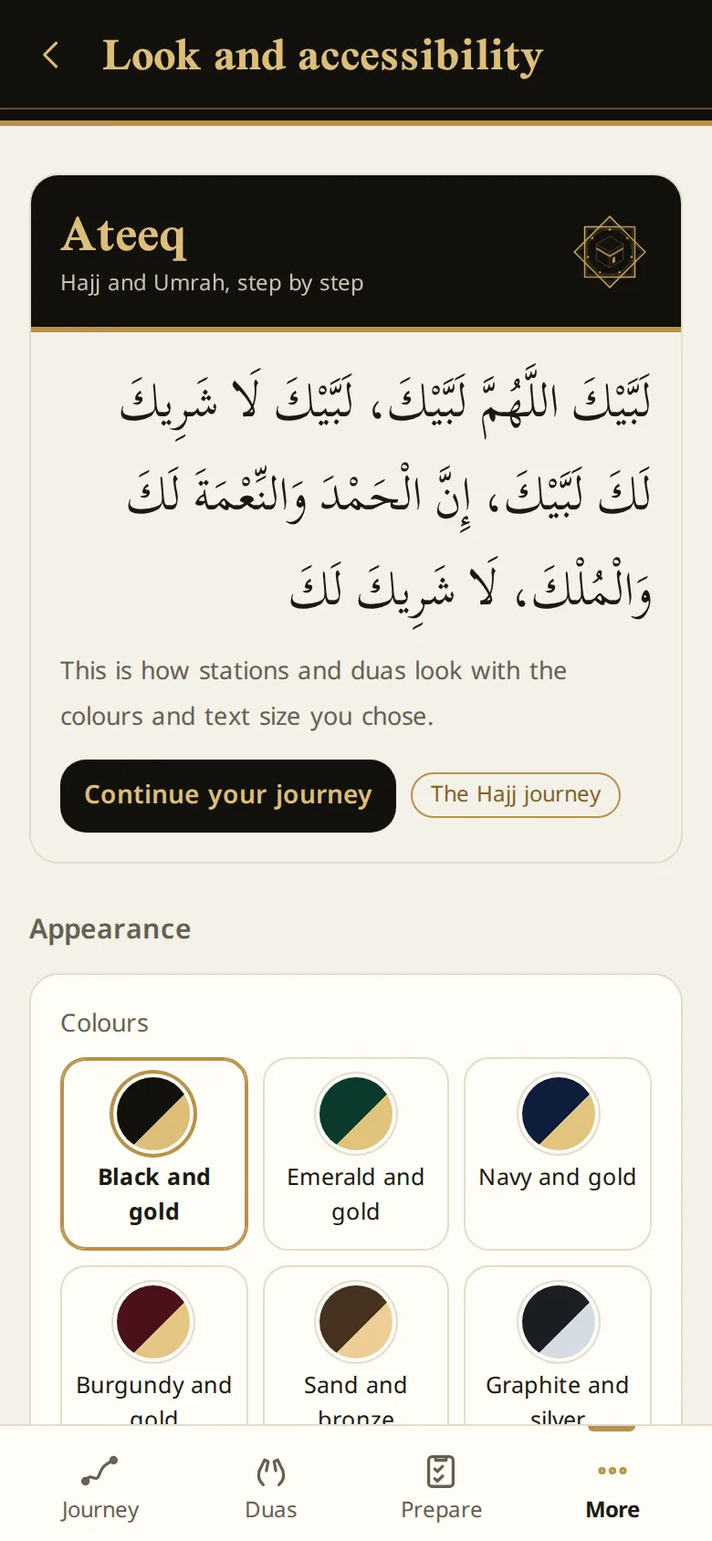 Look and accessibility